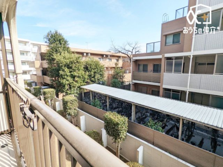 ���̑� �o���R�j�[����̒��]�ł��B