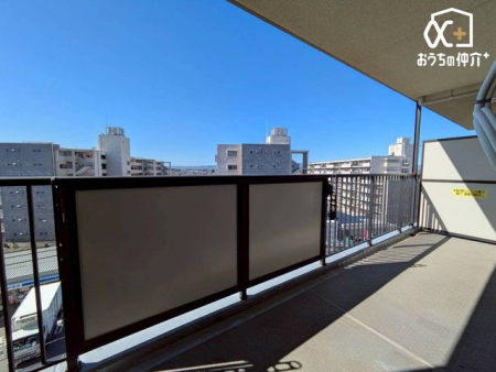 �o���R�j�[ �o���R�j�[�̗l�q