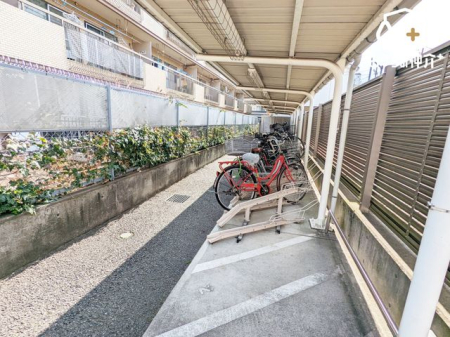 ���̑� ���֏�͉����t���ŉJ�̓��ł��G��邱�ƂȂ����S�ł��B�܂��A�Ă͏����z�˂�������򉻂�����Ă���܂��B