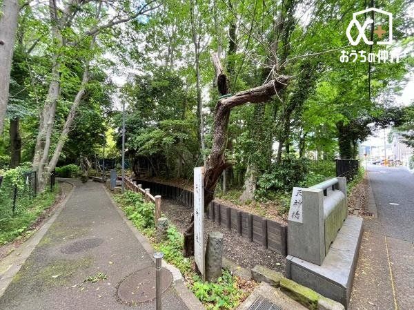 ���ӊ� ���E�Βn�ۑS�n�� �k��7���B�V�������ݒu����Ă��Ďs���̌e���̎U���H�ł��B 540m