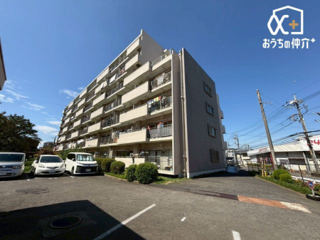 ���n�O�ώʐ^ �����V�h���u�V����v�w�k��14��