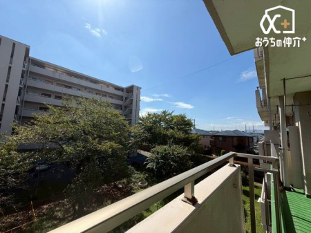 ���̑� �o���R�j�[����̒��]�ł�