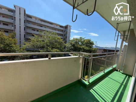 �o���R�j�[ �o���R�j�[�̗l�q