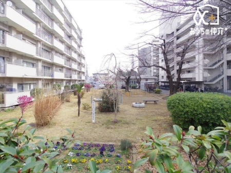 ���̑� �~�n���̌e���̏�