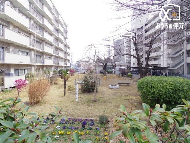 ���̑� �~�n���̌e���̏�