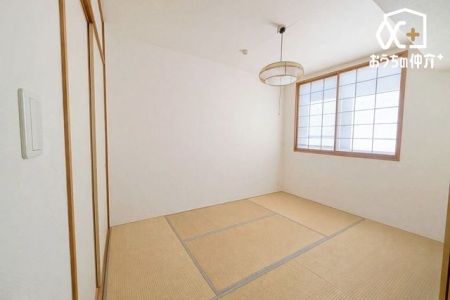 ���̑����� �����b�N�X���ʂ̂���u�a���v�ɂ͂�������̃����b�g���I���ɂȂ��Ă��낢����A���󕨂���񂾂�A���q�������Ă����z�c��~���΋q�ԂƂ��Ďg���A���L���p�r�Ŏg����̂ŏd�󂵂����ł��ˁB