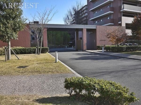 ���̑� �X�[�p�[�⑍���a�@���k���T�������ɑ������֐��̗ǂ��Z���I���X�̕�炵�����K�ł��B