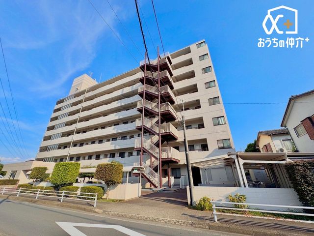 ���n�O�ώʐ^ �y�b�g�ƕ�点��i�Z�^�}���V�����ł��B���Ǝ{�݂��߂��Z���ǍD�ł��I