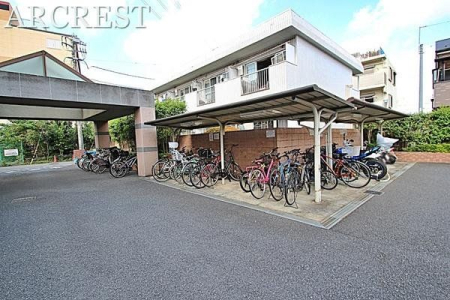 ���̑� ���֏�̗l�q�ł��B