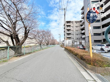 ���̑� ���H�����񂾔��Α��ɂ͍����؂�����܂��B���U�����y�����Ȃ�܂��ˁB