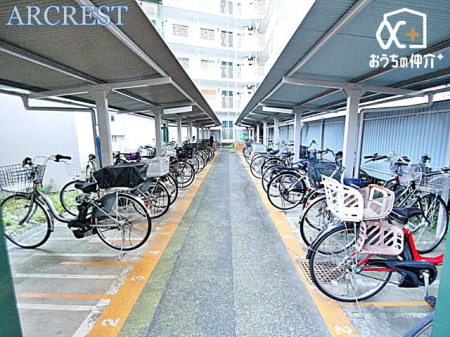 ���̑� ���֏�̗l�q�ł��B