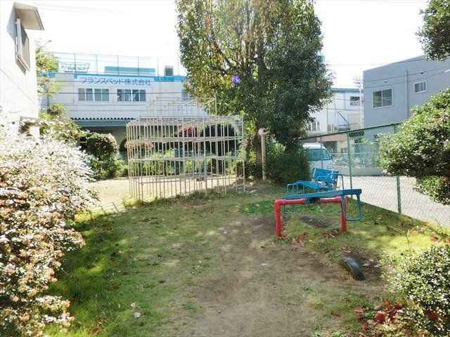 ���̑� �~�n���̌����̗l�q�ł��B