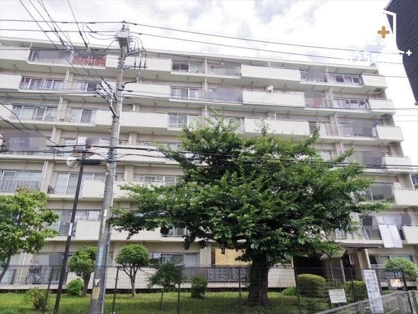 ���̑� ���Ќ��n���������������I