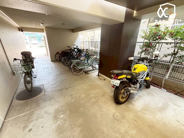 ���̑� ���L����