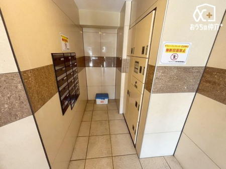 ���̑� ����