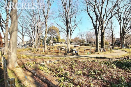 ���ӊ� ����ʌ��� �k��8���B 580m