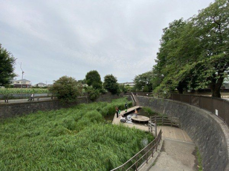 ���ӊ� ���䓪���� �k��10���B�N�������ӂ�o�锒�q��Ɨ΂���ۓI�ȁA�ג��������ł��B�l�G��ʂ��ċߏ��̐l�����̌e���̏�ƂȂ��Ă��܂��B 770m