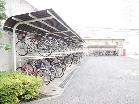 ���̑� ���֏�͉����t���ŉJ�̓��ł��G��邱�ƂȂ����S�ł��B�܂��A�Ă͏����z�˂�������򉻂�����Ă���܂��B