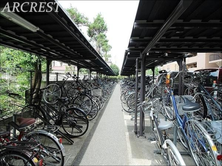 ���̑� ���֏�͉����t���ŉJ�̓��ł��G��邱�ƂȂ����S�ł��B�܂��A�Ă͏����z�˂�������򉻂�����Ă���܂��B