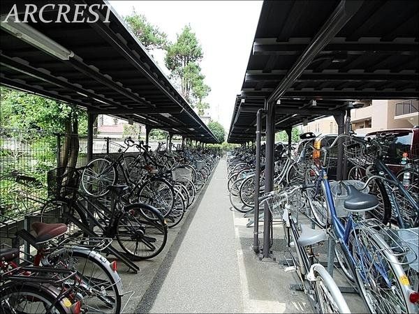 ���̑� ���֏�͉����t���ŉJ�̓��ł��G��邱�ƂȂ����S�ł��B�܂��A�Ă͏����z�˂�������򉻂�����Ă���܂��B