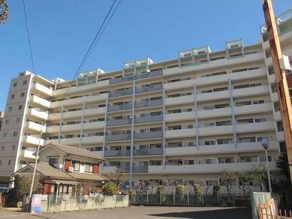 ���̑� ���̑����n