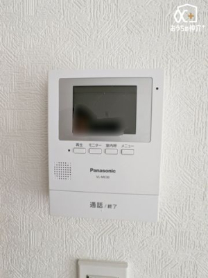 ���̑� �h�Ɩʂł����S��TV���j�^�[�t���C���^�[�z���ł��B