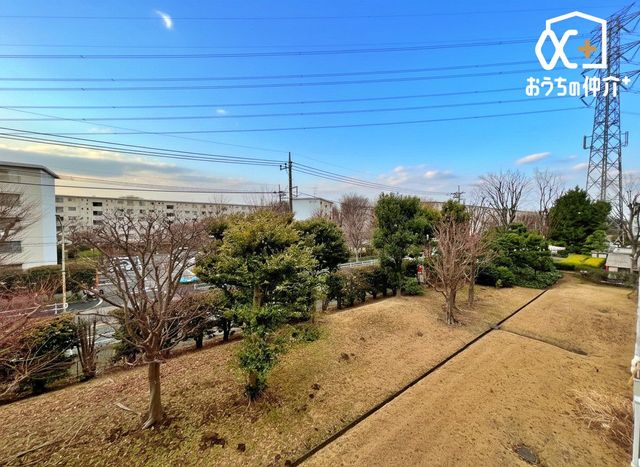 ���̑� �o���R�j�[���猩�n�����i�F�ɂȂ�܂��B���V�C�̗ǂ����́A�󂪂悭�����A�C�����̂�����ԂɂȂ肻���ł��ˁI�z�����Ȃǂ��A���񌻒n�ɂĂ��m���߂��������I���₢���킹���҂����Ă���܂���(^^)/