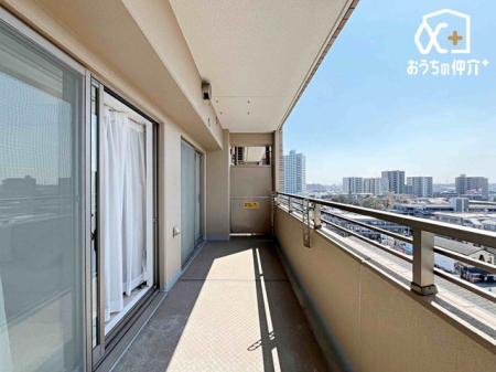 �o���R�j�[ ���]�ǍD�ȃo���R�j�[�̗l�q�B