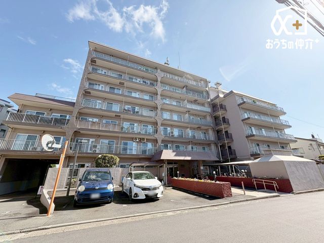 ���n�O�ώʐ^ ����������u�ߐ��v�w�܂œk��11���B�k�������ɃX�[�p�[�A�h���b�O�X�g�A�A���w�Z�������Z���ǍD�I