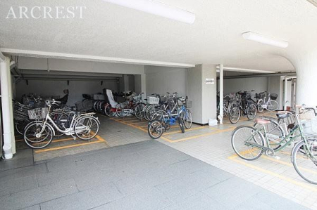 ���̑� ���֏�͉����t���ŉJ�̓��ł��G��邱�ƂȂ����S�ł��B�܂��A�Ă͏����z�˂�������򉻂�����Ă���܂��B