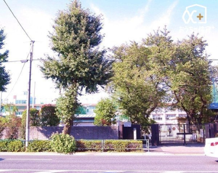 ���ӊ� ���n�旧�ΐ_�䐼���w�Z �k��5���B����7�N�J�Z�B������450�l(�ߘa5�N4�����_) ����ڕW�́A���̂����w�Ԏq�E�͂�Ɗ�������q�E�Ƃ��ɕ��ގq 330m