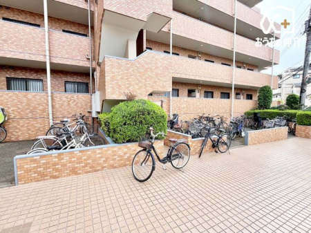 ���̑� �~�n�����֏�̗l�q�ł��B