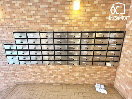 ���̑� �W���|�X�g�̗l�q�ł��B