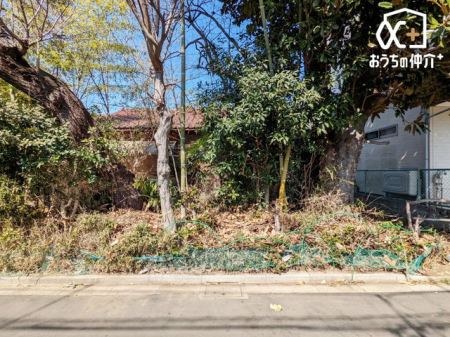 ���̑� 2026.3.9���݁@���n�̗l�q