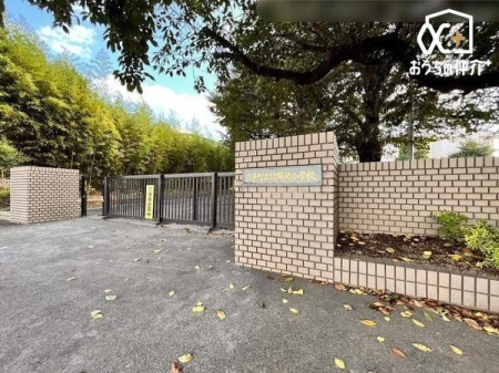 ���ӊ� �O�F�����|�ԑ򏬊w�Z �k��7���B 490m