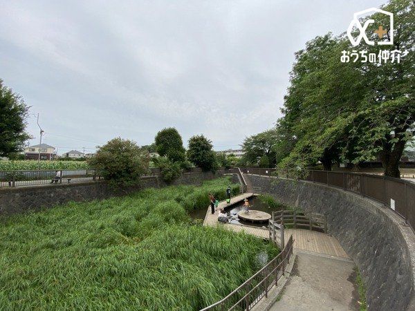 ���ӊ� ���䓪���� �k��15���B�N�������ӂ�o�锒�q��Ɨ΂���ۓI�ȁA�ג��������ł��B�l�G��ʂ��ċߏ��̐l�����̌e���̏�ƂȂ��Ă��܂��B 1160m