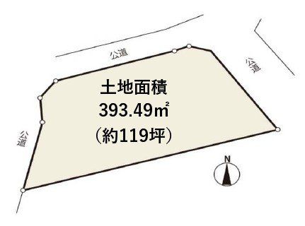 ���̑� �y���}�z���~�n119�؂���`�J�[�X�y�[�X2�䂠��