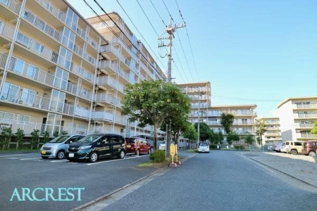 ���̑� ���̑����n