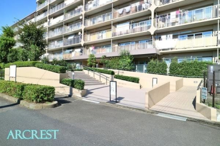 ���̑� ���̑����n