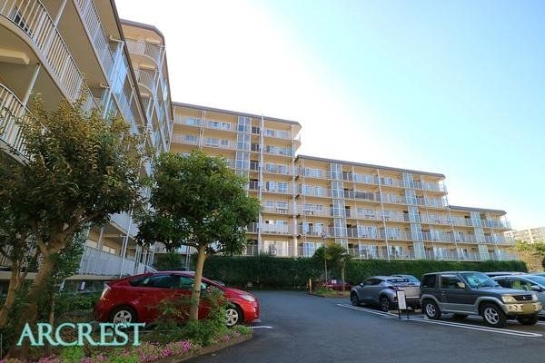 ���̑� ���̑����n