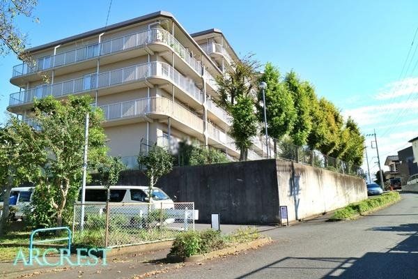 ���̑� ���̑����n