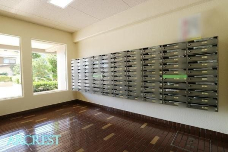 ���̑� �W���|�X�g