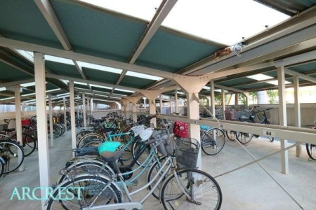 ���̑� ���֏�