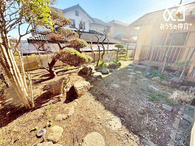 ���̑� �L�X�Ƃ�������ł��B���D���ȗp�r�ŗ��p�\�I