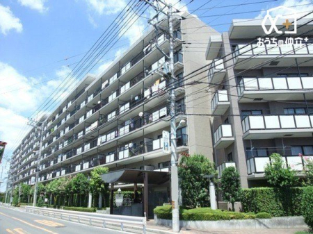 ���̑� ���̑����n