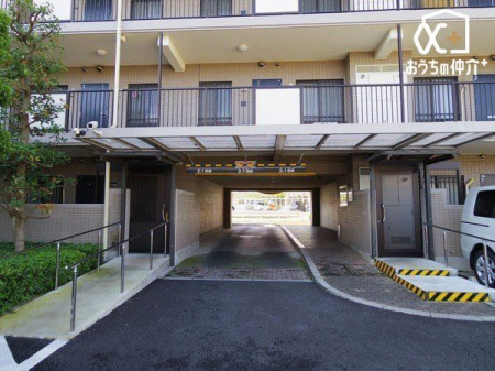 ���̑� ���̑����n