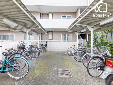 ���̑� ���֏�͉����t���ŉJ�̓��ł��G��邱�ƂȂ����S�ł��B�܂��A�Ă͏����z�˂�������򉻂�����Ă���܂��B