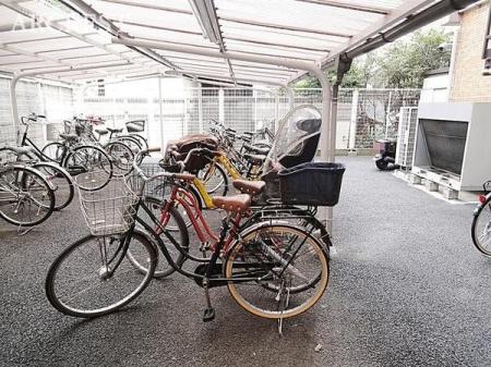 ���̑� ���֏�͉����t���ŉJ�̓��ł��G��邱�ƂȂ����S�ł��B�܂��A�Ă͏����z�˂�������򉻂�����Ă���܂��B