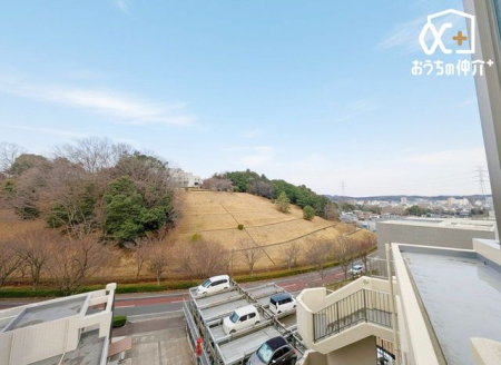 ���̑� ���炩�ȗz�˂��������~���o���R�j�[�B���w�i�ɐS�n�悢�������������Ă����܂��B����O�֏o�ĊJ�����𖡂킦���Ԃł��B