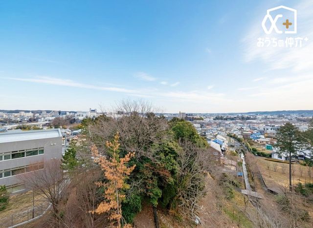 ���̑� ���o���R�j�[����A���Ԋ�n�̍q��Ղ�A���Ԃ̉ԉΑ������܂��I